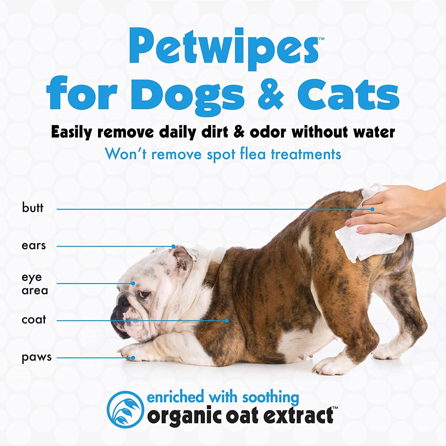 Large Organic Pet Wipes for Dogs and Cats, 200 Count, Enriched with Oat Extract and Gentle Cleaning Formula, Perfect for Home and Travel