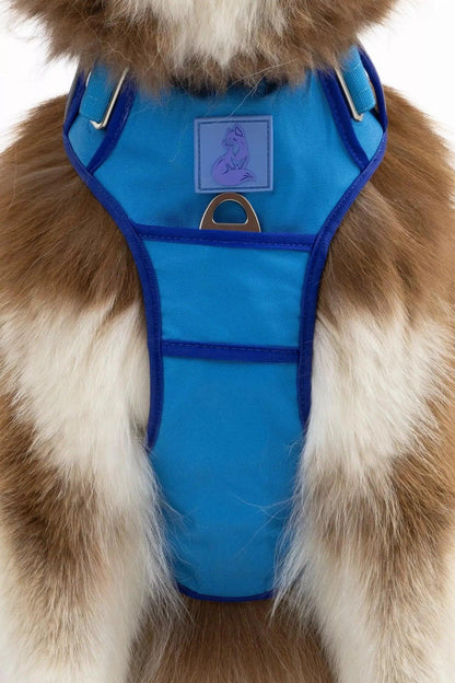 Ultimate Designer Dog Harness - Stylish and Comfortable with