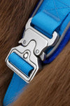 Ultimate Designer Dog Harness - Stylish and Comfortable with