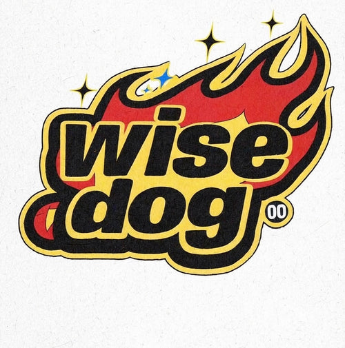 Wise Dog