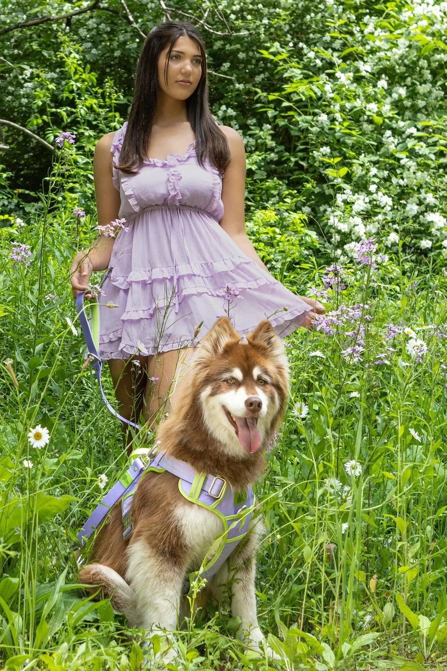 Ultimate Designer Dog Harness - Stylish and Comfortable with