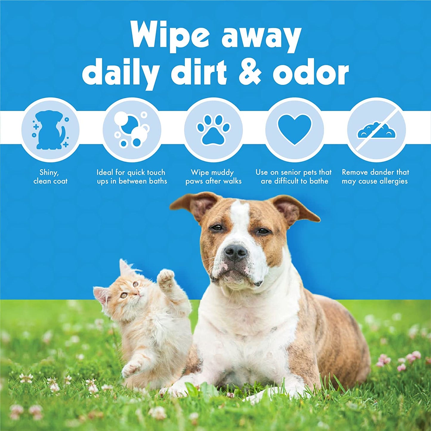 Large Organic Pet Wipes for Dogs and Cats, 200 Count, Enriched with Oat Extract and Gentle Cleaning Formula, Perfect for Home and Travel